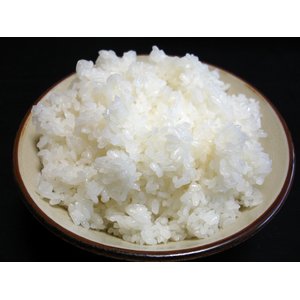 生活応援米 白米20kg 【松】（10kg×2袋）