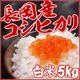 【お試しに!】平成27年産 中村農園の新潟県長岡産コシヒカリ白米5kg