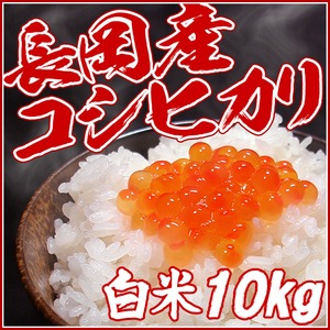 平成27年産新米！（株）中村農園の新潟県長岡産コシヒカリ白米10kg（5kg×2袋）