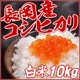 平成27年産 中村農園の新潟県長岡産コシヒカリ白米10kg(5kg×2袋)