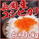 平成27年産新米！（株）中村農園の新潟県長岡産コシヒカリ白米30kg（5kg×6袋）