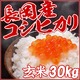 平成27年産 中村農園の新潟県長岡産コシヒカリ玄米30kg(5kg×6袋)