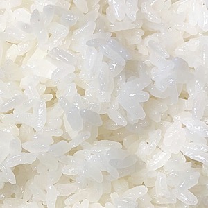 生活応援米 白米20kg(5kg×4袋) 生活応援米 白米20kg(5kg×4袋)