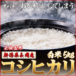 お試しに！新潟県長岡産コシヒカリ（未検査米）白米5kg