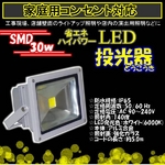 LED投光器 30W／300W相当／防水／広角150° AC100V／5Mコード