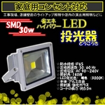 LED投光器30W3000ｋ/300W相当/5Mコード/電球色/暖色