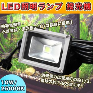LED照明ランプ/投光器 【10W/25000K】 強化ガラス製 〔水草/熱帯魚/海水魚飼育 水槽用〕 - 拡大画像