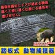 トラップゲージ 捕獲器 踏板式 小動物 動物捕獲器 害獣