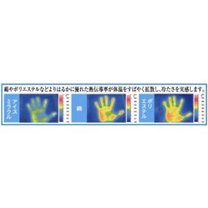 アイスミラクル プレミアム ピローパッド P4155