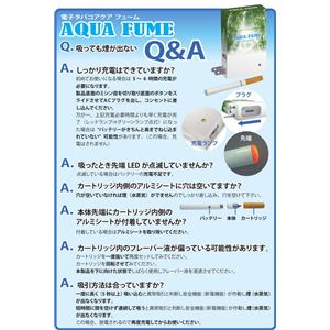 トータル・アイ 電子タバコ AQUA ミント風味