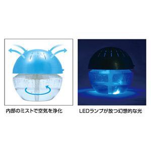   ꡼ LEDܲ5