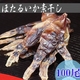 【父の日用】酒のつまみに最高!富山湾 ほたるいかの素干し 100尾 ほたライターで炙るとさらに美味い!