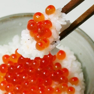 24%OFF【北海道網走産】お徳用いくらの醤油漬500g