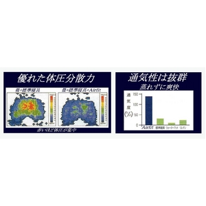 テイジン素材使用マットレス エアークイーン シングル （体重40kg以上タイプ）