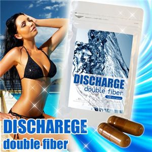 �f�B�X�`���[�W �_�u���t�@�C�o�[