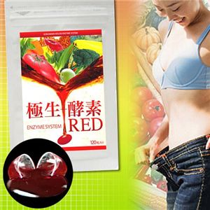 �ɐ�-�y�f�G���U�C���V�X�e�� RED