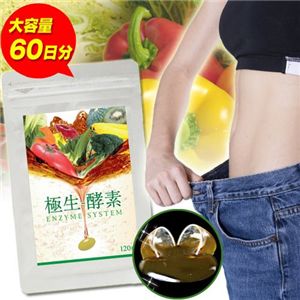 �y��e��60�����z�ɐ�-�y�f�G���U�C���V�X�e��