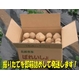 特別栽培農家直送「新じゃがいも」M〜2Lサイズ 10kg - 縮小画像2