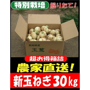 ���ʍ͔|�_�ƒ����u�V�ʂ˂��v30kg�i10kg���~3�j