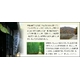 嵯峨野大福 ゴマ餡18個入り - 縮小画像5