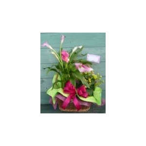 【母の日ギフト】 花かごA