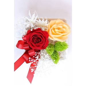 プリザーブドアレンジ「コインレッド」