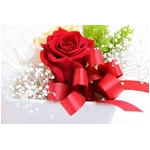 プリザーブドアレンジ「コインレッド」