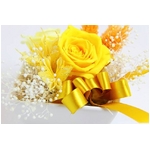 プリザーブドアレンジ「コインイエロー」