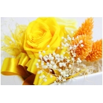 プリザーブドアレンジ「コインイエロー」