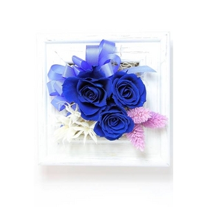 プリザーブドアレンジ「プチナチュレフレームブルー」