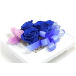 プリザーブドアレンジ「プチナチュレフレームブルー」