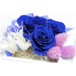 プリザーブドアレンジ「プチナチュレフレームブルー」