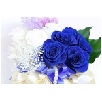 プリザーブドアレンジ「セルクルブルー」