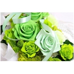 プリザーブドアレンジ「メイリアグリーン」