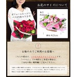 K̑蕨t[AWg TVCIW