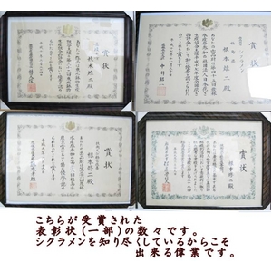 【2010年12月初旬より順次発送】 5年連続農林水産省鉢花部門受賞!ギフトに喜ばれる一品です♪ プレミアムシクラメン 【根本園芸】【赤系】 5号鉢