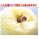 ڤѡΤդ(̾Բġˡʡ縩󤴡ץߥ̪դ10kg3236̡ˡ£̡ۡ ̿6