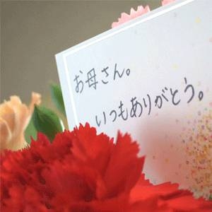 佐藤錦24粒と生花カーネーションのセット【母の日限定】メッセージカード付き