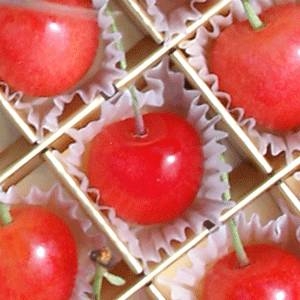 佐藤錦24粒と生花カーネーションのセット【母の日限定】メッセージカード付き