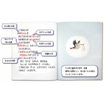 IWiG{iNX}X̊肢:ǂj