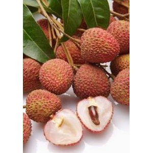 極上台湾生ライチ3kg(枝なし)