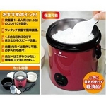 小型炊飯器 ライスクッカー