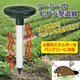 モグラ撃退器（ソーラー式） - 縮小画像1