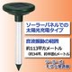モグラ撃退器（ソーラー式） - 縮小画像3