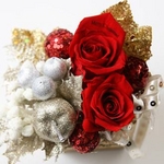 メッセージ・プリザーブド★シャイニー・クリスマス★(レッド色)