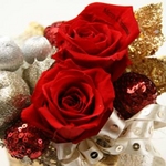 メッセージ・プリザーブド★シャイニー・クリスマス★(レッド色)