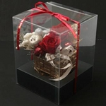 メッセージ・プリザーブド★シャイニー・クリスマス★(レッド色)