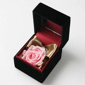 メッセージ・プリザーブド★プチローザ(黒色BOX)★