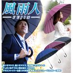 風雨人（FUJIN） グラスファイバー仕様 24本骨傘 ワインレッド