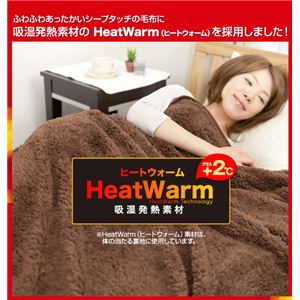 Heat Warm（ヒートウォーム） 発熱あったか2枚合わせ毛布 ダブル ブラウン 写真3